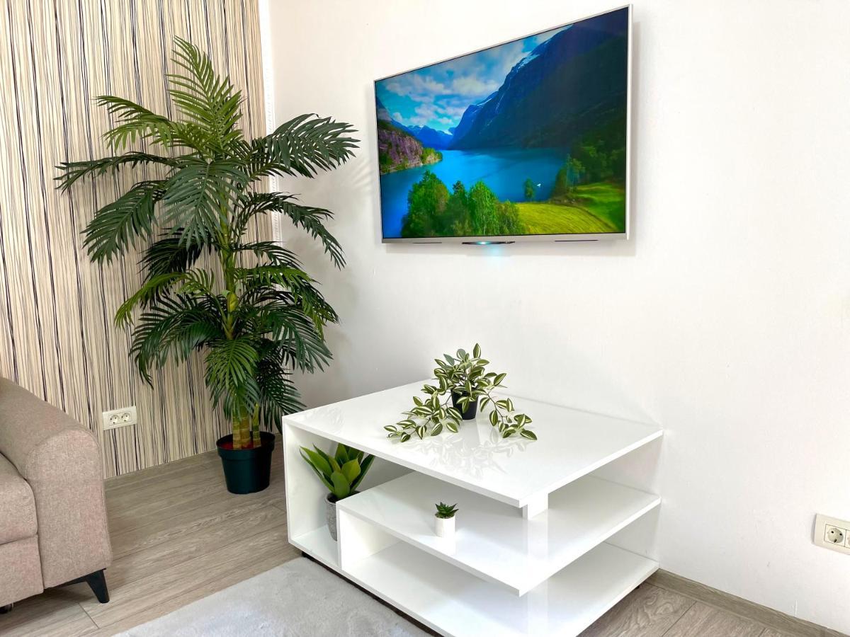 Cosy Place To Stay Timisoara Bagian luar foto