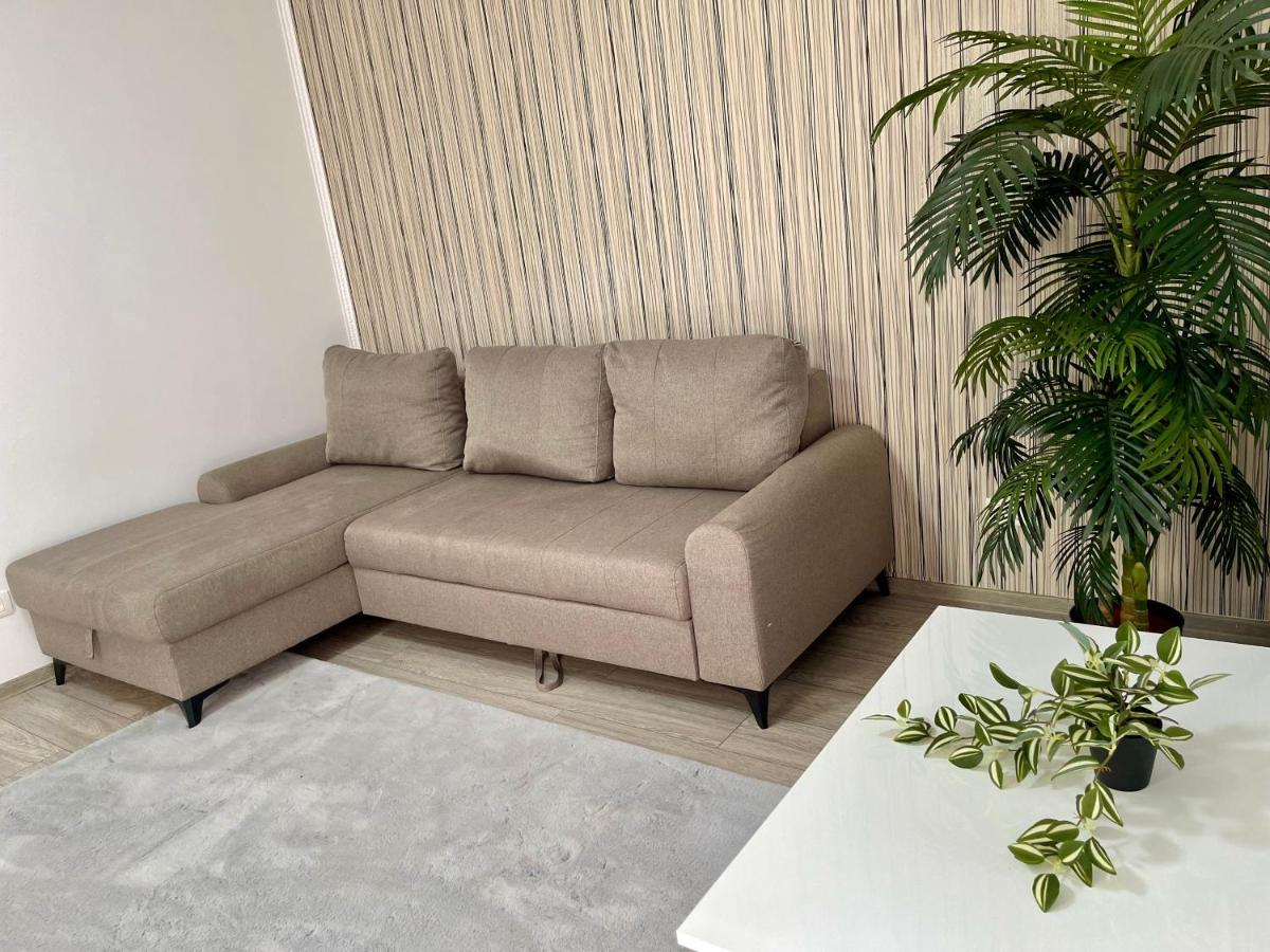 Cosy Place To Stay Timisoara Bagian luar foto